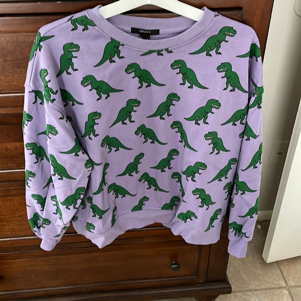 Dinosaur pull over